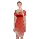 Red Pepper And Bubbles Classic Short Sleeve Midi Dress View1