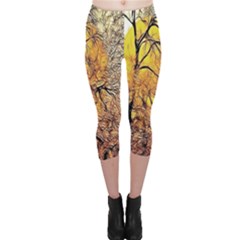 Summer Sun Set Fractal Forest Background Capri Leggings  by Amaryn4rt