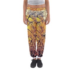 Summer Sun Set Fractal Forest Background Women s Jogger Sweatpants by Amaryn4rt