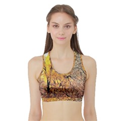 Summer Sun Set Fractal Forest Background Sports Bra With Border by Amaryn4rt