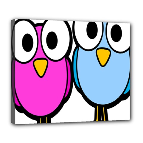 Bird Big Eyes Pink Blue Deluxe Canvas 24  X 20  