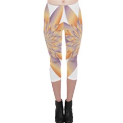 Chromatic Flower Gold Star Floral Capri Leggings  by Alisyart