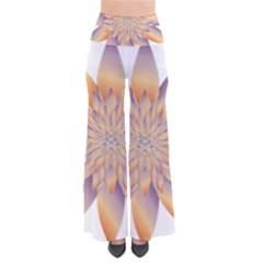 Chromatic Flower Gold Star Floral Pants by Alisyart