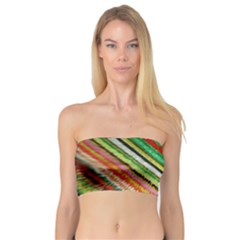 Colorful Stripe Extrude Background Bandeau Top by Simbadda