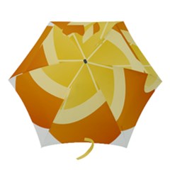 Orange Lime Yellow Fruit Fress Mini Folding Umbrellas
