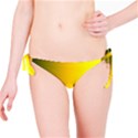 Yellow Gradient Background Bikini Bottom View1