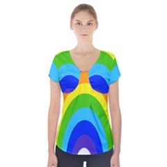 Rainbow Short Sleeve Front Detail Top by Alisyart