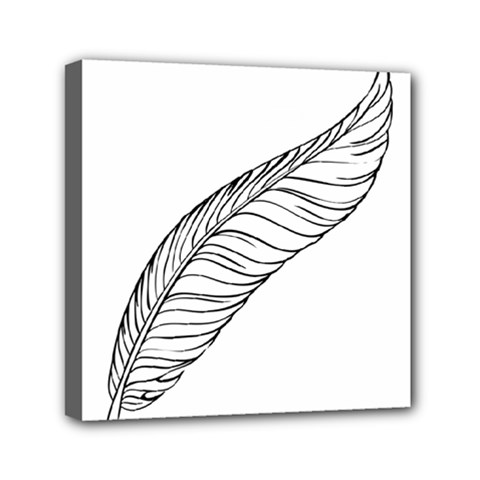 Feather Line Art Mini Canvas 6  x 6 