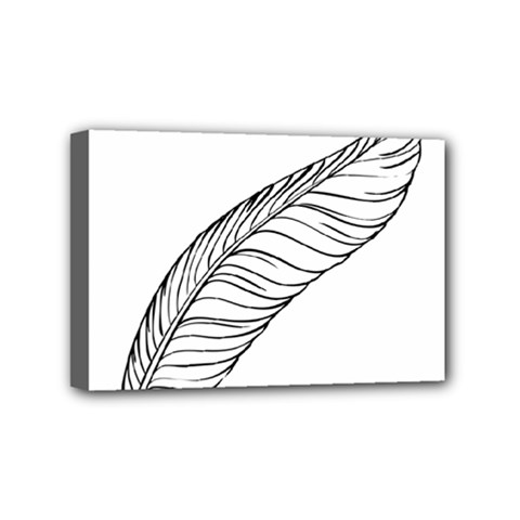 Feather Line Art Mini Canvas 6  x 4 
