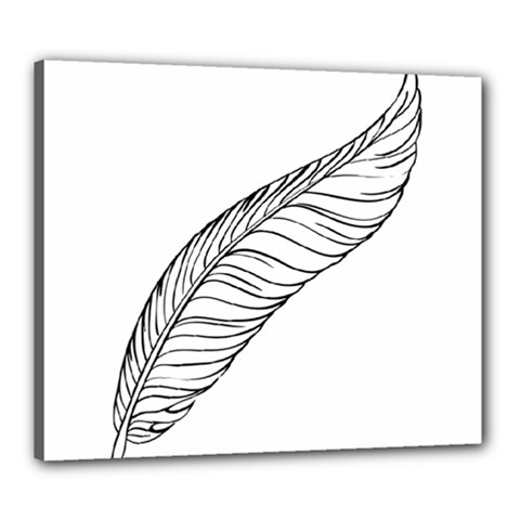 Feather Line Art Canvas 24  x 20 