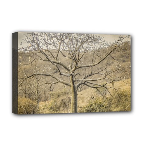 Ceiba Tree At Dry Forest Guayas District   Ecuador Deluxe Canvas 18  X 12   by dflcprints