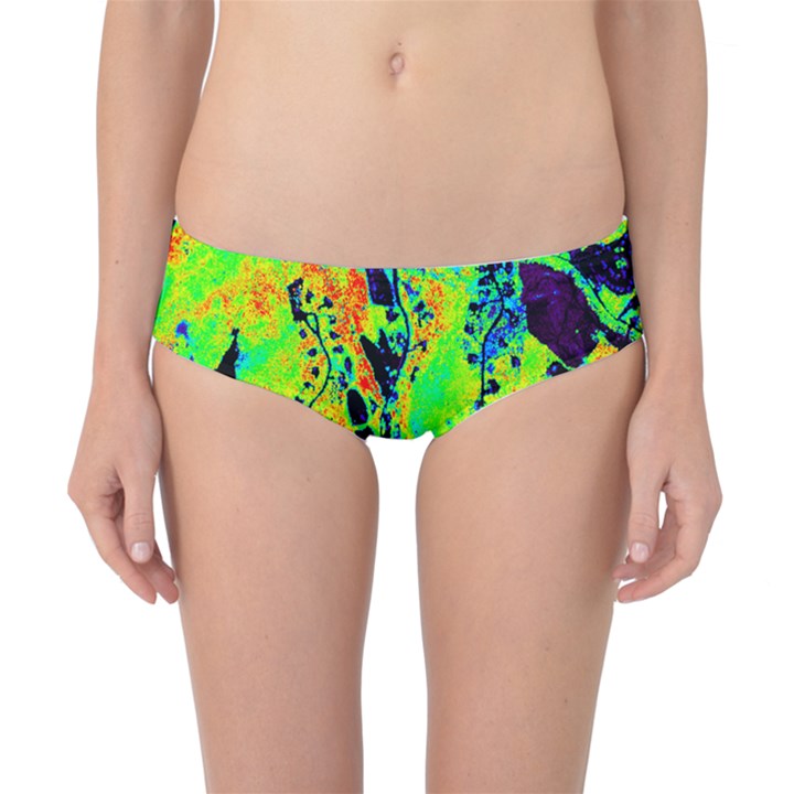 Bow Canopy Height Satelite Map Classic Bikini Bottoms