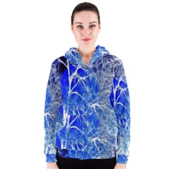 Winter Blue Moon Fractal Forest Background Women s Zipper Hoodie by Simbadda