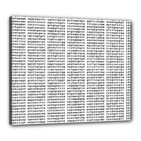 Methods Compositions Detection Of Microorganisms Cells Canvas 24  X 20 