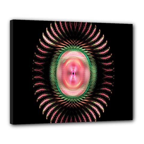 Fractal Plate Like Image In Pink Green And Other Colours Canvas 20  X 16 