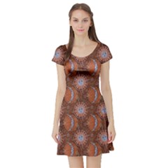 Brown Composition With Sun And Moon Short Sleeve Skater Dress