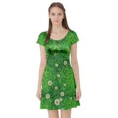 Shamrock Full Short Sleeve Skater Dress