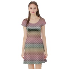 Pink Colorful Rainbow Chevron Pattern Short Sleeve Skater Dress