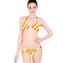 Yellow Striped Easter Egg Gold Bikini Set View3