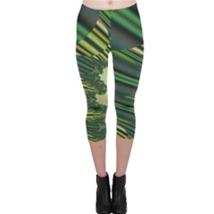 A Feathery Sort Of Green Image Shades Of Green And Cream Fractal Capri Leggings  by Simbadda