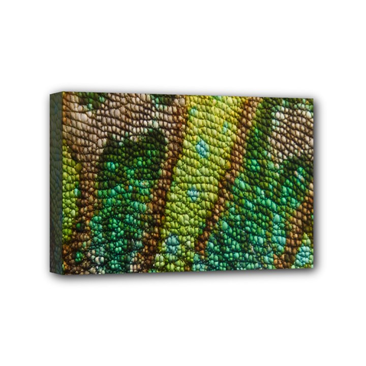 Colorful Chameleon Skin Texture Mini Canvas 6  x 4 