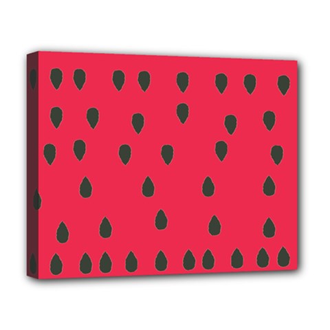 Watermelon Fan Red Green Fruit Deluxe Canvas 20  X 16  