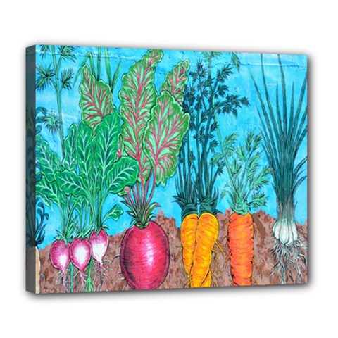 Mural Displaying Array Of Garden Vegetables Deluxe Canvas 24  X 20  