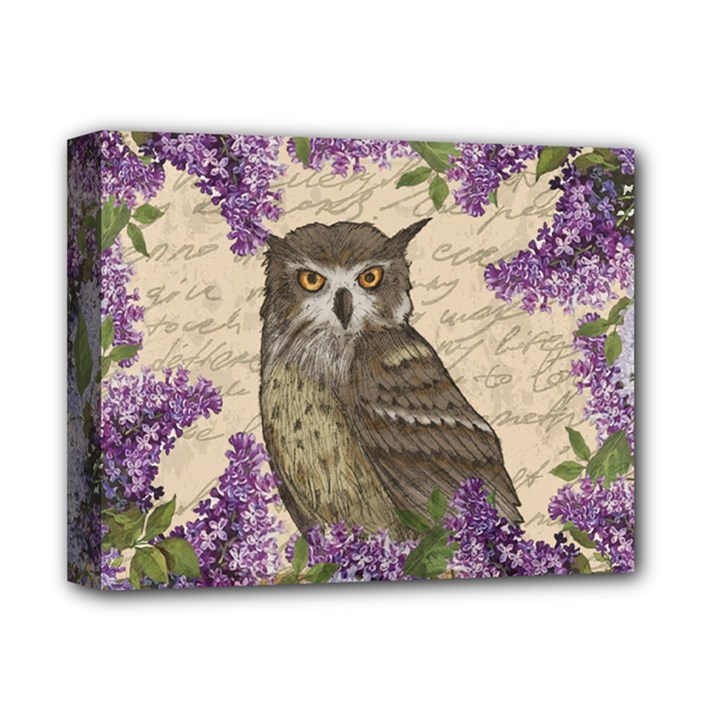 Vintage owl and lilac Deluxe Canvas 14  x 11 