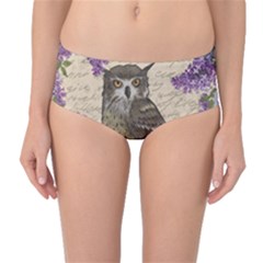 Vintage Owl And Lilac Mid-waist Bikini Bottoms by Valentinaart