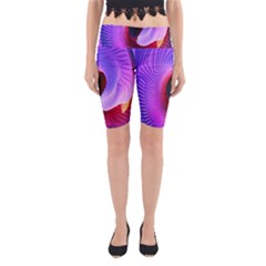 Digital Art Spirals Wave Waves Chevron Red Purple Blue Pink Yoga Cropped Leggings by Mariart