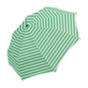 Horizontal Stripes Green Folding Umbrellas View2