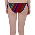 Color Stripes Pattern Bikini Bottom View2