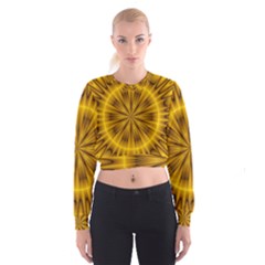 Fractal Yellow Kaleidoscope Lyapunov Women s Cropped Sweatshirt by Simbadda