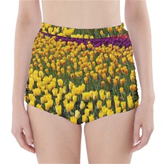 Colorful Tulips In Keukenhof Gardens Wallpaper High-waisted Bikini Bottoms by Simbadda