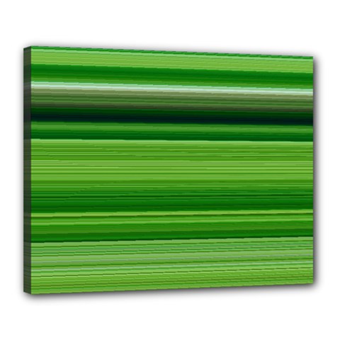 Horizontal Stripes Line Green Canvas 20  X 16  by Mariart