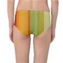 Colorful Citrus Colors Striped Background Wallpaper Mid-Waist Bikini Bottoms View2