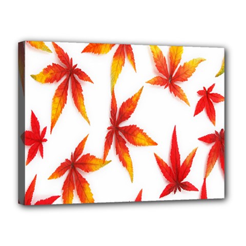 Colorful Autumn Leaves On White Background Canvas 16  X 12  by Simbadda