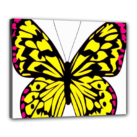 Yellow A Colorful Butterfly Image Canvas 20  x 16 