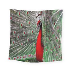 Red Peacock Square Tapestry (small) by Simbadda