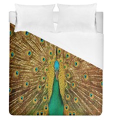 Peacock Bird Feathers Duvet Cover (queen Size) by Simbadda