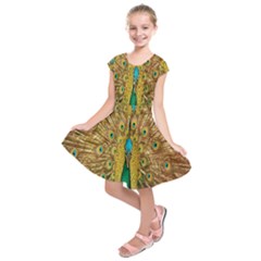 Peacock Bird Feathers Kids  Short Sleeve Dress