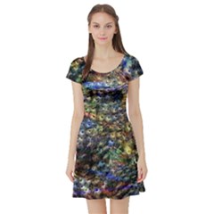 Multi Color Peacock Feathers Short Sleeve Skater Dress by Simbadda