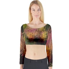 Abstract Brush Strokes In A Floral Pattern  Long Sleeve Crop Top