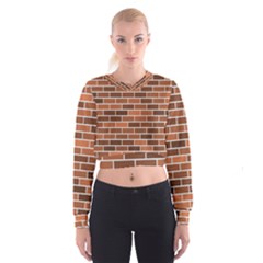 Brick Brown Line Texture Women s Cropped Sweatshirt by Mariart