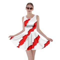 Scratches Claw Red White Skater Dress