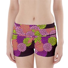 Floral Card Template Bright Colorful Dahlia Flowers Pattern Background Boyleg Bikini Wrap Bottoms by Nexatart