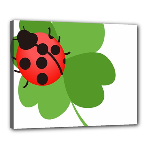 Insect Flower Floral Animals Green Red Canvas 20  X 16 