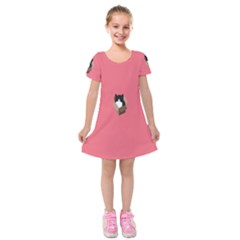 Minimalism Cat Pink Animals Kids  Short Sleeve Velvet Dress by Mariart