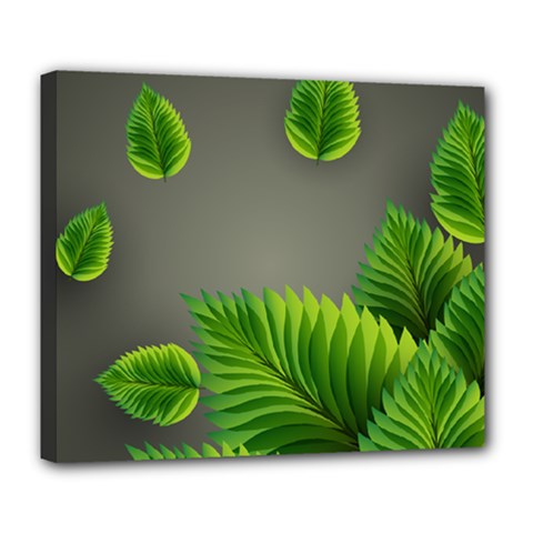 Leaf Green Grey Deluxe Canvas 24  X 20  