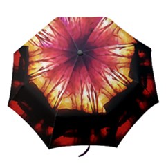 Fall Forest Background Folding Umbrellas by Nexatart